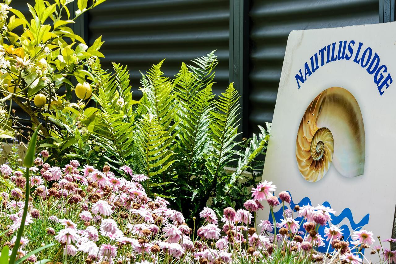 Nautilus Lodge Motel Motueka Bagian luar foto